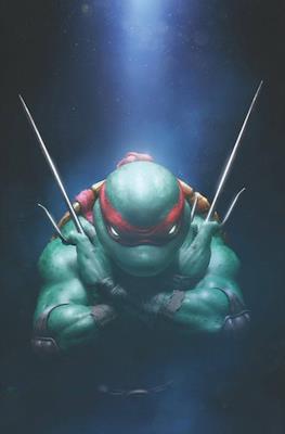 Teenage Mutant Ninja Turtles (2024- Variant Cover) #1.21