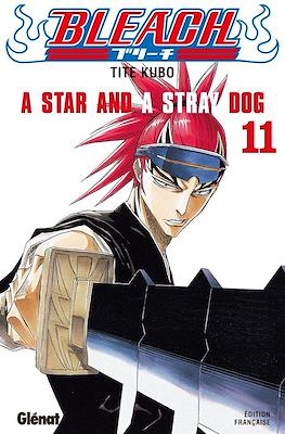 Bleach #11
