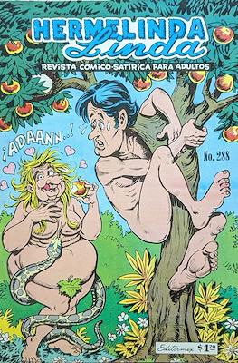 Brujerías / Hermelinda Linda (Grapa 36 pp) #288