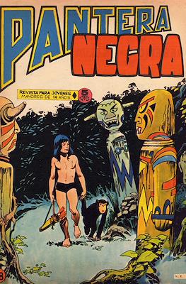 Pantera Negra #38
