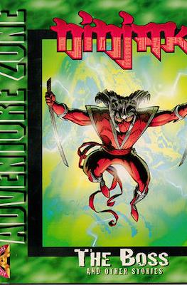 Acclaim Adventure Zone #2