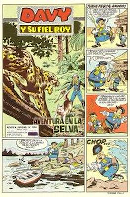 Rin-tin-tin / Davy y su fiel Roy #336