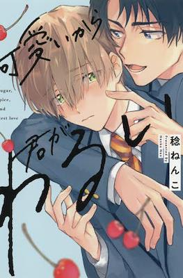 可愛いから君がわるい Sugar, spice, and first love (Kawaii kara Kimi ga Warui )