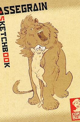 Cassegrain Sketchbook