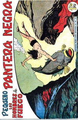 Pantera Negra / Pequeño Pantera Negra #155