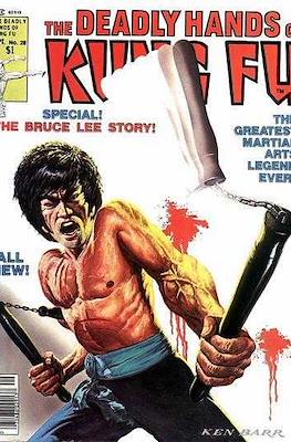 The Deadly Hands of Kung Fu Vol. 1 #28