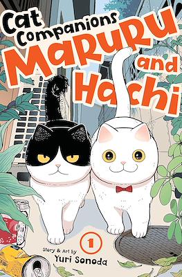 Cat Companions Maruru and Hachi