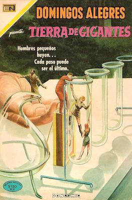 Domingos Alegres #836