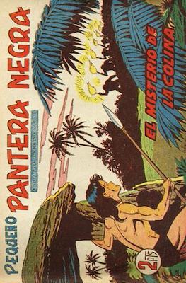 Pantera Negra / Pequeño Pantera Negra #222
