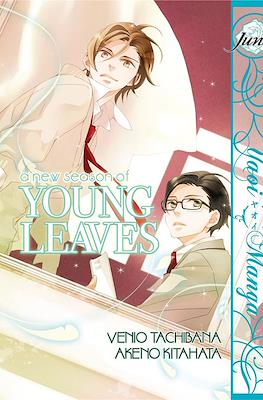 A New Season of Young Leaves