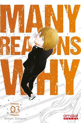 Many Reasons Why #3