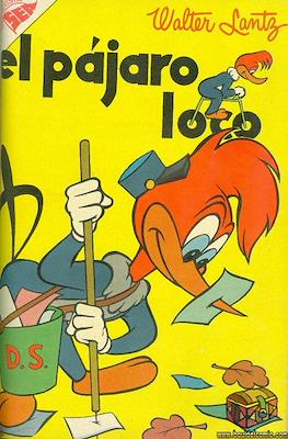 El pájaro loco #71