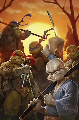 Teenage Mutant Ninja Turtles/Usagi Yojimbo - Wherewhen (Variant Covers) #1.13