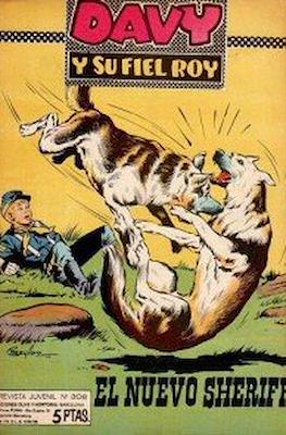 Rin-tin-tin / Davy y su fiel Roy #308