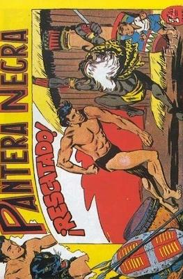 Pantera Negra / Pequeño Pantera Negra #54