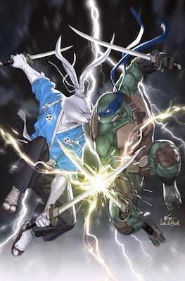 Teenage Mutant Ninja Turtles/Usagi Yojimbo - Wherewhen (Variant Covers) #2.5