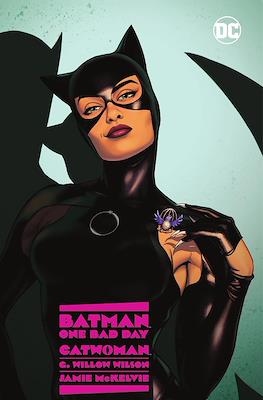 Batman: One Bad Day - Catwoman