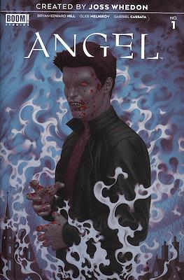 Angel Vol 4 #1 Cover F 2nd Ptg Variant Boris Pelcer Cover (Comic Book) #1