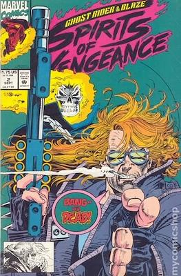 Ghost Rider/Blaze: Spirits of Vengeance Vol. 1 (1992-1994) #2