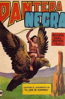 Pantera Negra #12