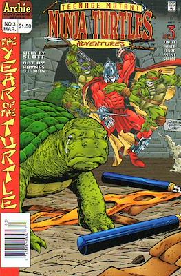 Teenage Mutant Ninja Turtles Adventures: The Year of the Turtle #3