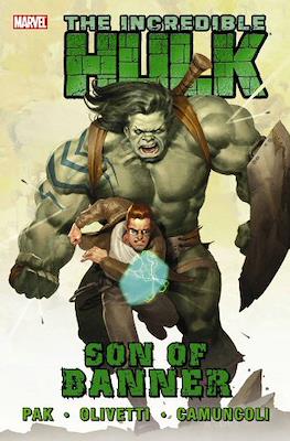 The Incredible Hulk by Greg Pak (2009-2011) #1