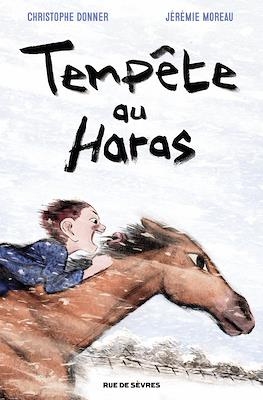 Tempête au Haras