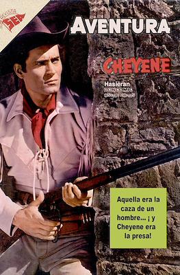 Aventura #239