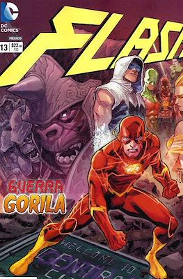 Flash (Grapa) #13