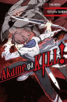 Akame ga Kill! (Softcover) #14