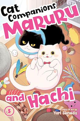 Cat Companions Maruru and Hachi #3