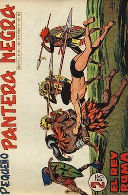 Pantera Negra / Pequeño Pantera Negra #210