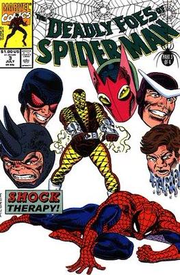 The Deadly Foes of Spider-man (Comic Book) #3