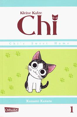Kleine Katze Chi