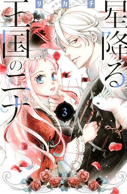 星降る王国のニナ (Hoshi Furu Ōkoku no Nina) #3