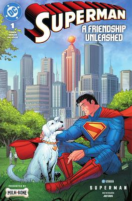 Superman: A Friendship Unleashed