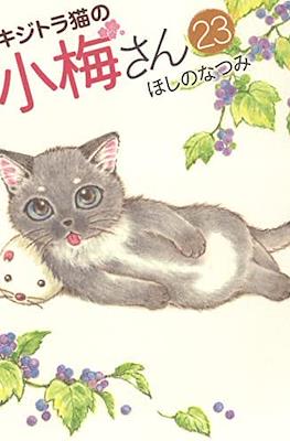 キジトラ猫の小梅さん 虎斑猫小梅 (Kijitora Neko no Koume-san) #23