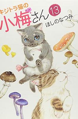 キジトラ猫の小梅さん 虎斑猫小梅 (Kijitora Neko no Koume-san) #13