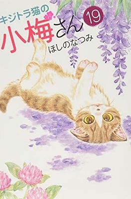キジトラ猫の小梅さん 虎斑猫小梅 (Kijitora Neko no Koume-san) #19