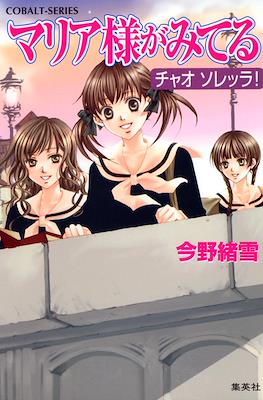 マリア様がみてる (Maria-sama ga Miteru) #17