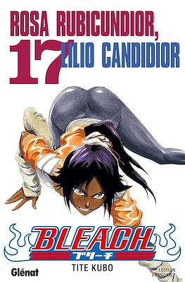 Bleach #17