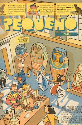 El Pequeño País #589