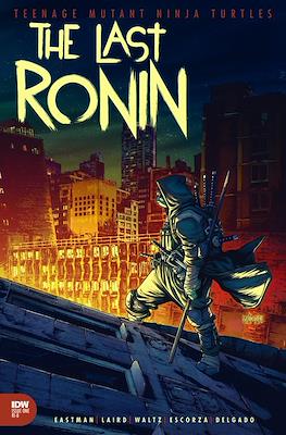 Teenage Mutant Ninja Turtles: The Last Ronin (Variant Cover) (Comic Book) #1.18