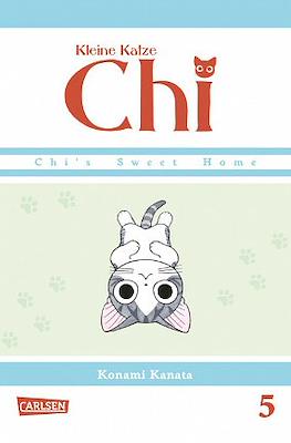 Kleine Katze Chi #5