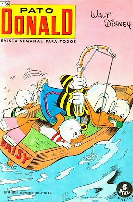 Pato Donald #36