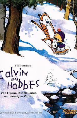 Calvin und Hobbes: Sammelband #2