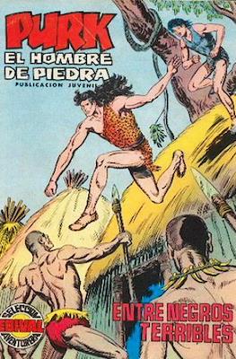 Purk, el hombre de piedra (1974) #47