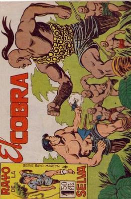 Rayo de la selva #41