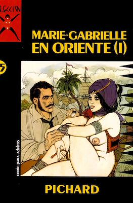 Colección X (Rústica) #35