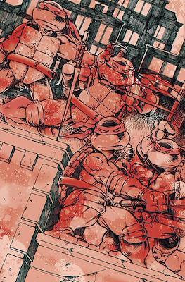 Teenage Mutant Ninja Turtles #1B